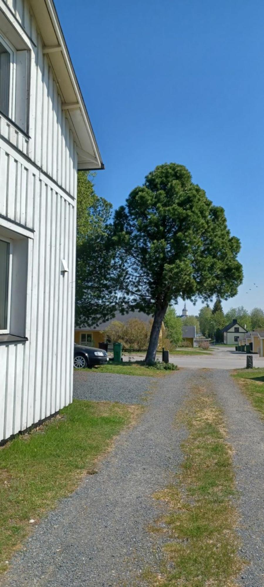 Vita Villan Haparanda  Esterno foto
